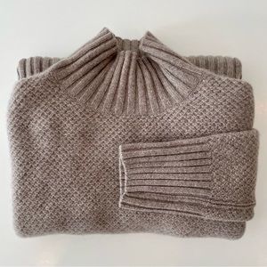 Everlane Cashmere Wool Stroopwafel Turtleneck Sweater